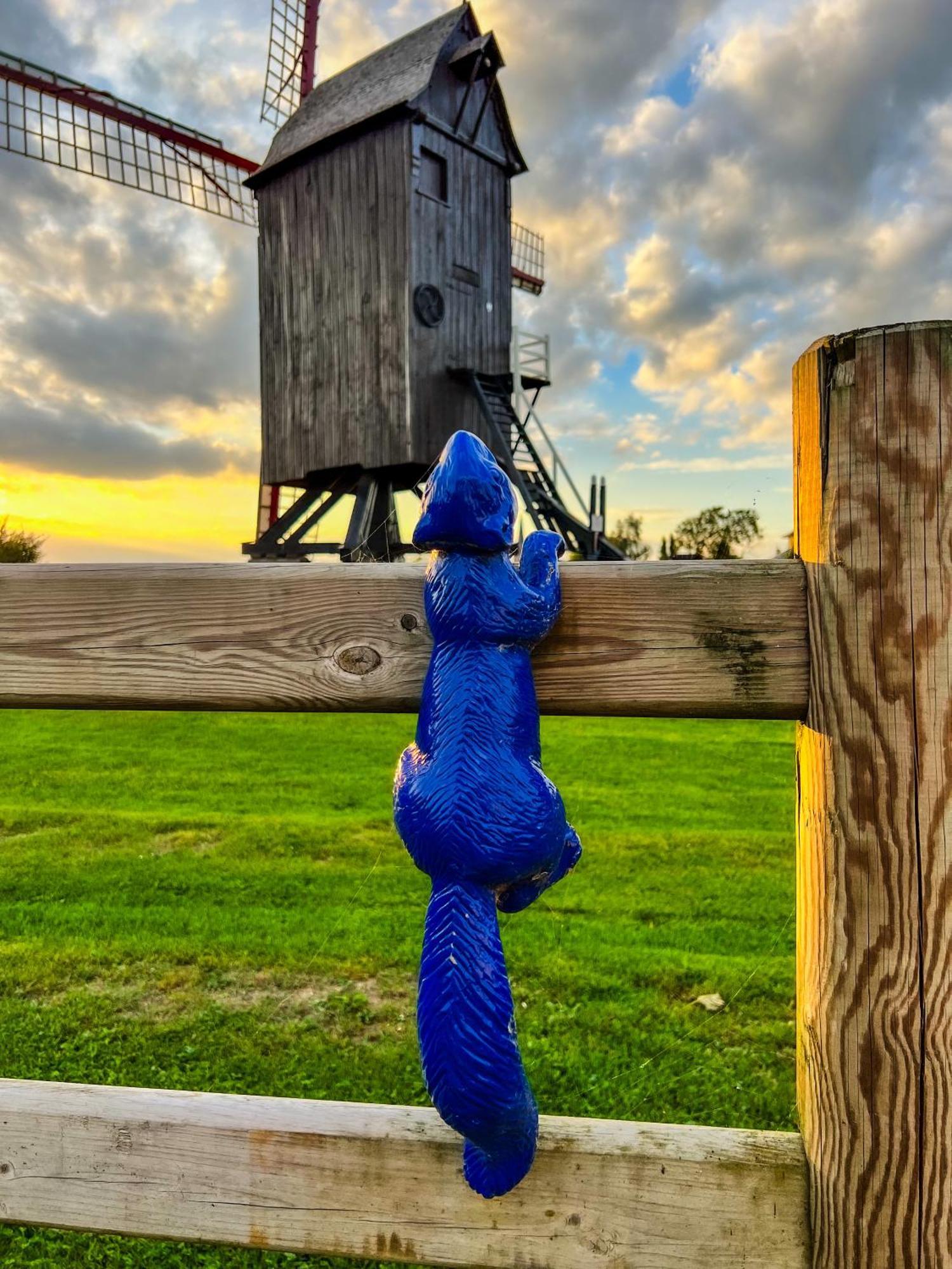 B&B Leonie Alveringem Exteriör bild